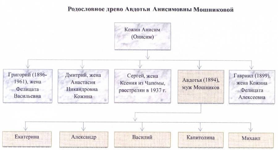 Родословная Авдотьи Анисимовны ((фото из журнала «Терский родословец» (Биттенбиндер О., Терский родословец: выпуск 1, Умба, 2015.-80с.) ))